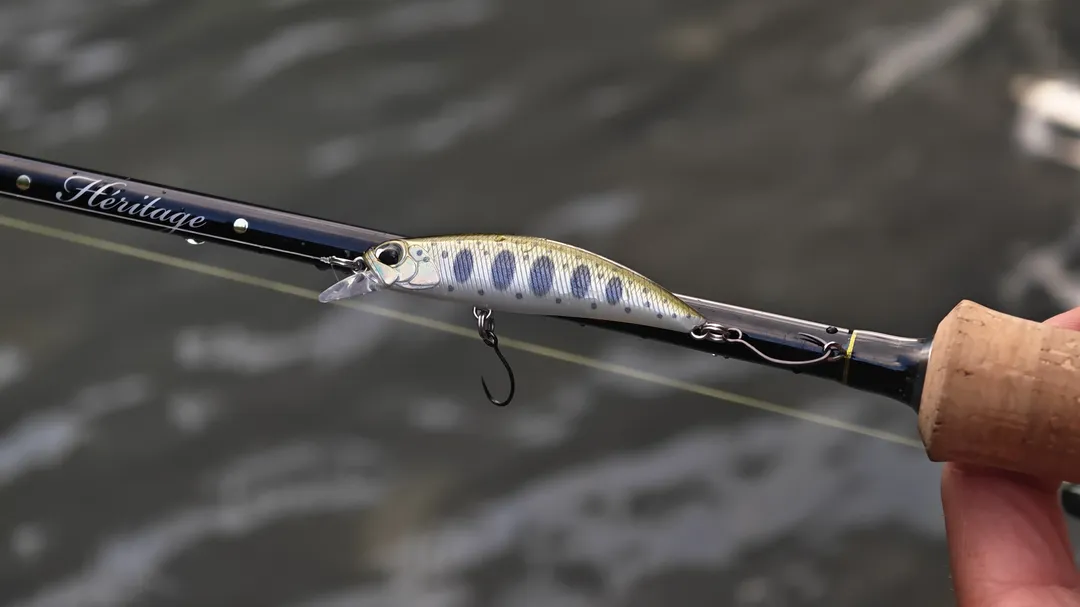 Guide de pêche Tom