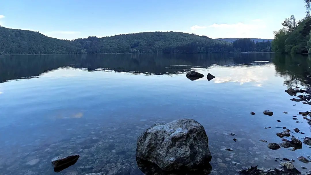 Sortie Carna - Bateaux - Lac du Der